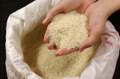 واردات برنج آزاد شد+ اعلام شرایط جدید