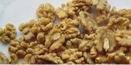 گردوی تویسرکان ثبت جهانی می‌شود