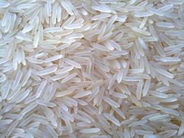 اولین قربانیان مواد غذایی دستکاری شده ژنتیکی
