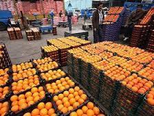 واردات «پرتقال‌های آلوده» و «نارگیل‌های تقلبی» چقدر جدی‌اند؟