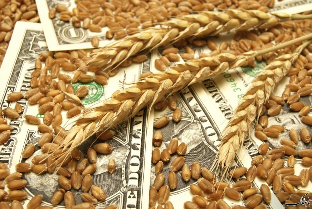 افزایش قیمت جهانی گندم با کاهش بارندگی در آمریکا