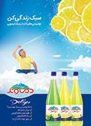 میوه ۲۰ درصد ارزان شد!