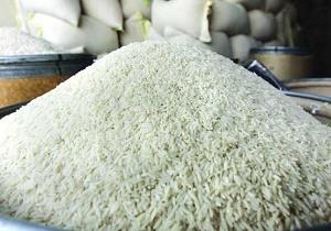 کیفیت کود،خط قرمز وزارت کشاورزی است / بی اطلاعی معاون وزیر از توزیع برنج های آلوده