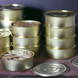 سندیکای صنایع کنسرو هیات مدیره جدیدش را شناخت