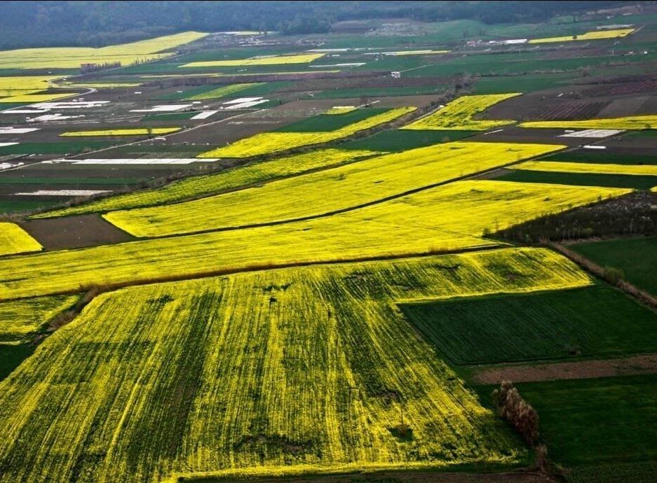 بیش از ۲۱ هزار هکتار از اراضی استان البرز رفع تداخل شد