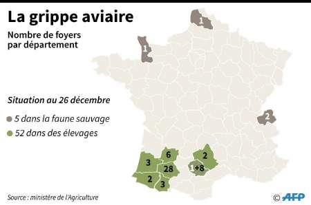 شیوع آنفلوآنزای مرغی در 52 مزرعه فرانسه