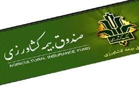 مصوبه دولت درباره پرداخت بدهی صندوق بیمه محصولات کشاورزی به بانک کشاورزی ابلاغ شد