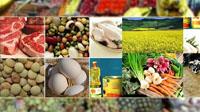 صنعت غذا بر فراز قله 2 میلیاردی صادرات
