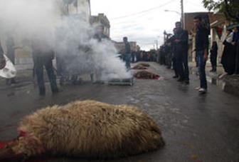 توصیههای بهداشتی سازمان دامپزشکی برای ذبح دام در ایام محرم