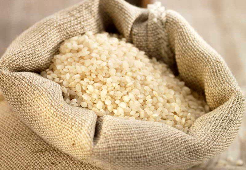 ثبت سفارش برنج به هفت میلیون تن رسید/ واردات برنج تا تیرماه 95 همچنان آزاد است