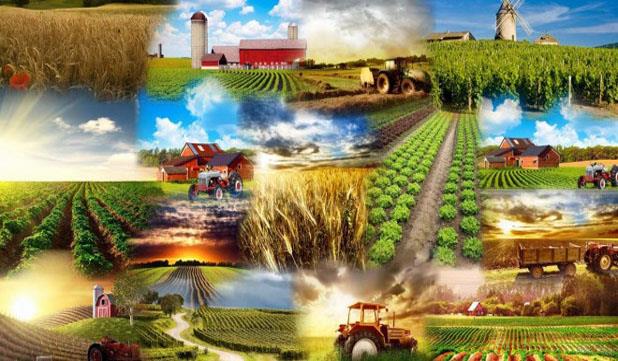 تراز منفی بازرگانی کشاورزی کاهش یافته است