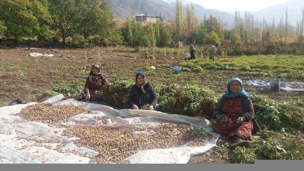 صندوق های اعتبارات خرد زنان روستایی در گرمی مغان ایجاد می شود