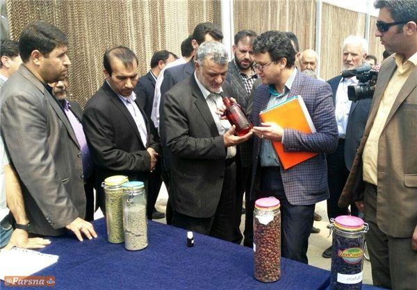 بازدید وزیر جهاد کشاورزی از گلخانه هیدروپونیک توت‌فرنگی در آبسرد