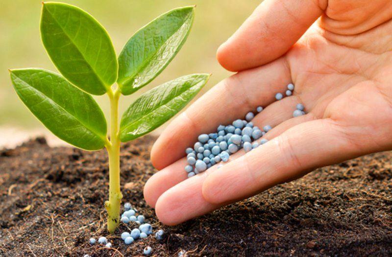 کاهش وابستگی به واردات کود با بهره‌برداری کامل از معادن پتاس‌خوربیابانک/ امارات واسطه واردات کود از آمریکا شد