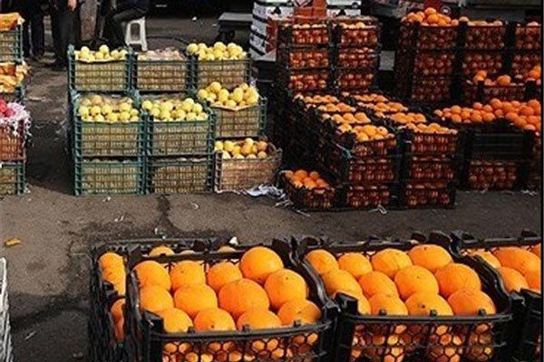 انتقاد از نحوه توزیع میوه شب عید/ دلالان وارد بازار شدند