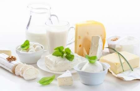 صادرات 298 هزارتن انواع فرآورده های لبنی در 5 ماهه نخست امسال