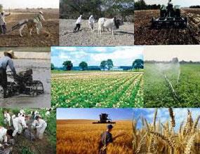 افتتاح 53 پروژه کشاورزی درهفته دولت