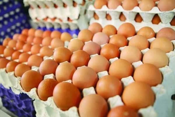 توزیع نیمی از تخم مرغ مصرفی استان مرکزی با قیمت دولتی مصوب شد