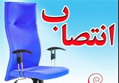 مجری برنامه افزایش دانه های روغنی منصوب شد