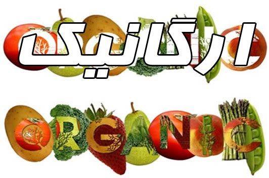 برگزاری دوره آموزشی پیشرفته صدور گواهی محصولات ارگانیک/ از امروز تا سوم شهریورماه