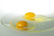 تخم‌مرغ‌های تولیدی، دارای کد رهگیری می‌شوند/ نمی‌توان تنها به پرینت روی تخم‌مرغ‌ها اعتماد کرد