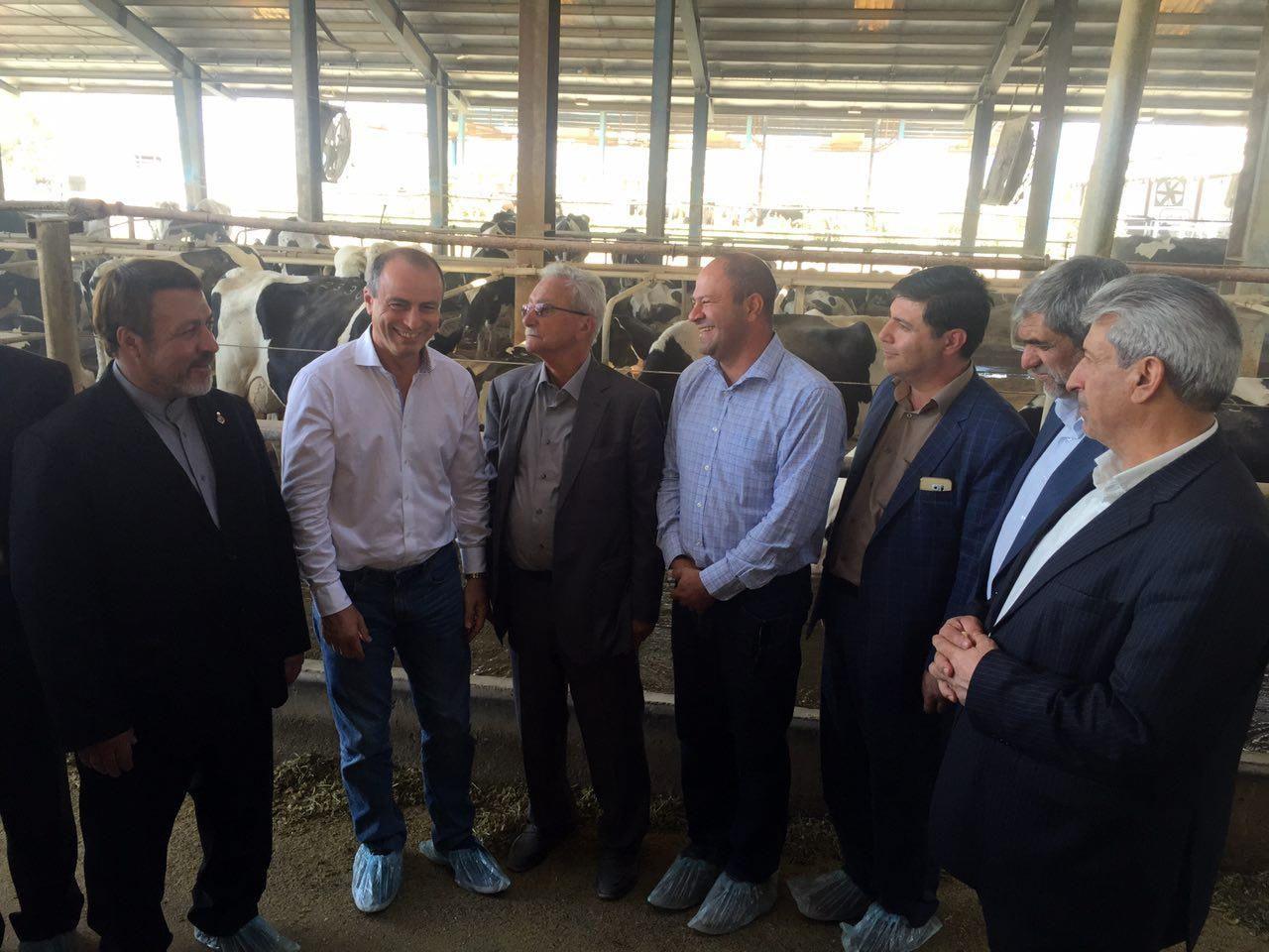 امکان صادرات یک میلیون تنی لبنیات ایران به اروپا فراهم شد/ تطبیق استانداردهای لبنی ایران برای اتحادیه اروپا با کمک رومانی