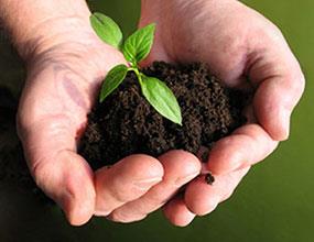 سهم محصولات ارگانیک چقدر است؟