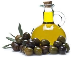 فراخوان دعوت به مجمع عمومی فوق‌العاده شورای ملی زیتون ایران برای تغییر اساسنامه+ متن کامل اساسنامه