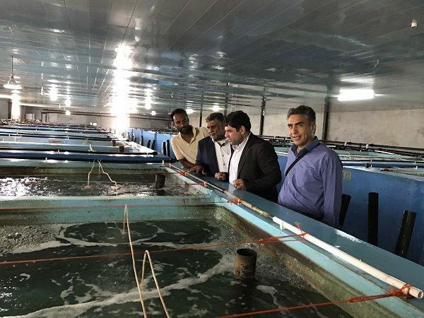 بهره‌برداری از نخستین مرکز پیشرفته تولید بچه‌ماهی گونه‌های بومی خلیج فارس در کشور