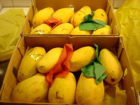 امحاء 813 کیلوگرم محموله های قاچاق برای جلوگیری از ورود آفات و بیماریها