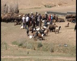 رونق کشاورزی در کویر