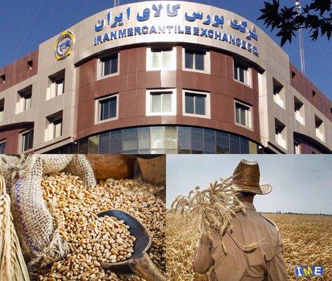 بورس کالا مرجع تامین برای کشاورزان می شود
