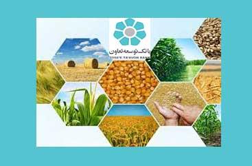 افزایش دو برابری تسهیلات بانک توسعه تعاون به بخش کشارزی، نشانه عمل به مسئولیت توسعه‌ای