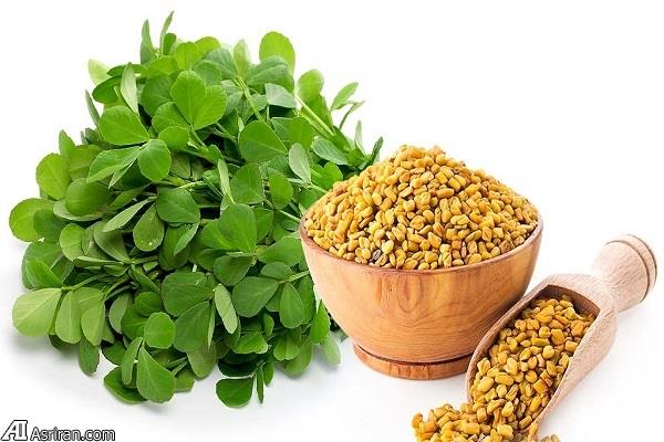 آشنایی با خواص کم نظیر یک گیاه بومی ایران