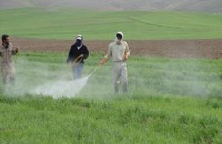 فروشگاه های سموم بدون مجوز در استان اصفهان تعطیل می شود