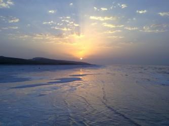 گرانفروشی مرغ ادامه دارد