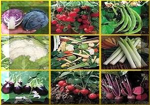 افزایش قیمت لبنیات منتفی شد/ بیراهه رفتن واردات ملکه زنبور عسلی که زنبورداران را بی خانمان کرد