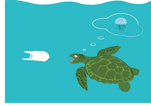 خطری که سلامت لاک‌پشت‌ها را تهدید می‌کند + تصاویر