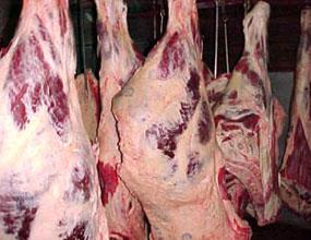 صادرات و قاچاق گوشت را گران کرد