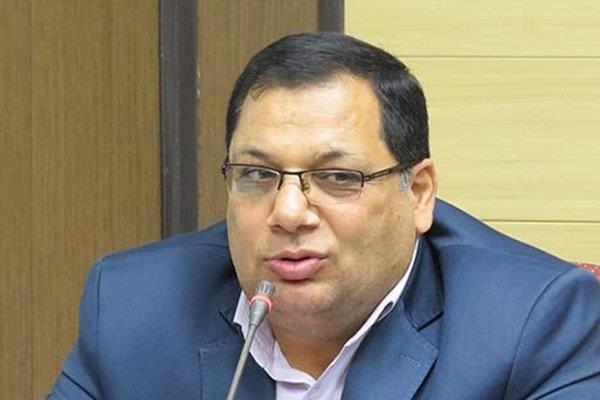 شهرستان ورامین رتبه نخست تولید گل رز را در استان تهران دارد