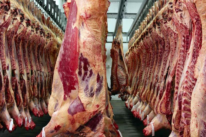 تولید گوشت قرمز در قزوین 7.2 درصد رشد یافت