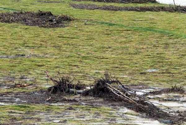 خسارت توفان به بخش کشاورزی بابل 15 میلیارد ریال برآورد شد