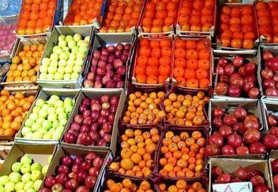 میوه‌ شب عید وارد بازار شد/ پایان ارزانی پرتقال‌ و نارنگی تا ۲۰ روز دیگر