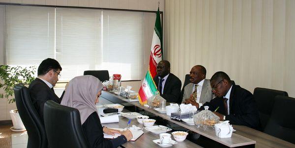 آغاز کشت ذرت در غنا به‌زودی در سطح 5600 هکتار/ حمایت وزارت جهاد کشاورزی از سرمایه‌گذاری در غنا