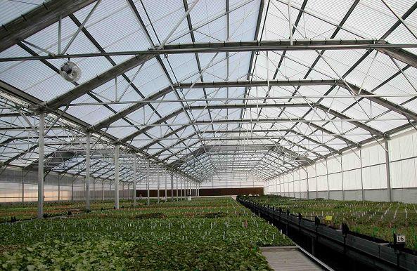 بیشترین تسهیلات به گلخانهها رسید/ لزوم افزایش سرمایهگذاری در اجرای طرحهای نوین آبیاری