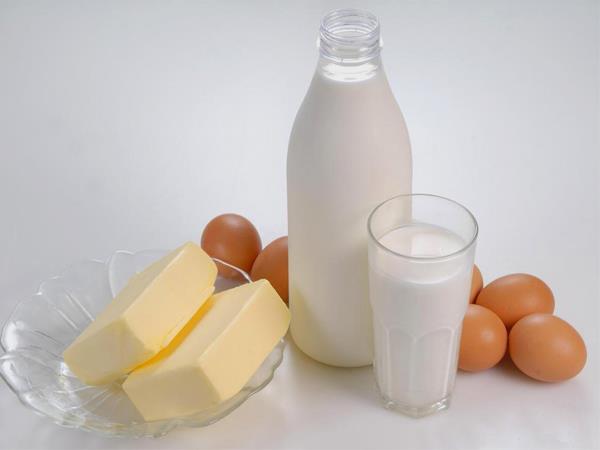 حمایت از صادرات لبنیات و مرغ و تخم مرغ در اولویت وزارت جهادکشاورزی است