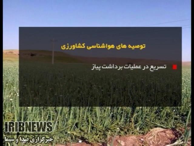 هواشناسی کشاورزی+فیلم