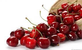 میوه ۲۰ درصد ارزان شد