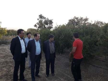 ترویج آبیاری های نوین یکی از اصول تحقق اقتصاد مقاومتی است