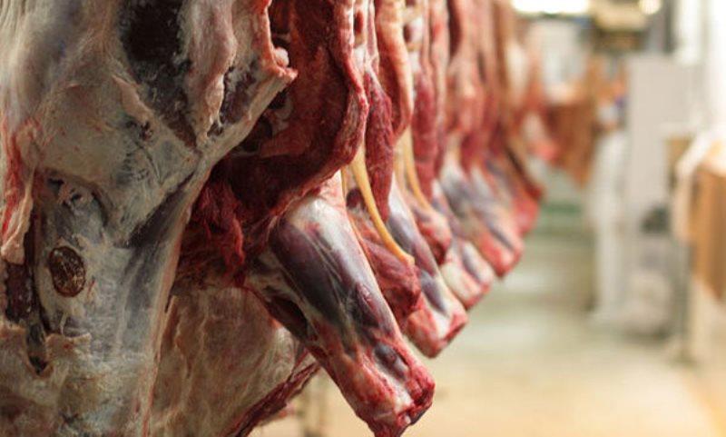 75 تن گوشت وارداتی در بازار مشهد توزیع شد